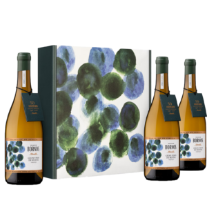 Palacio de Bornos Colección de Familia Sergio Hernández Gran Vino- Estuche 3 bot.